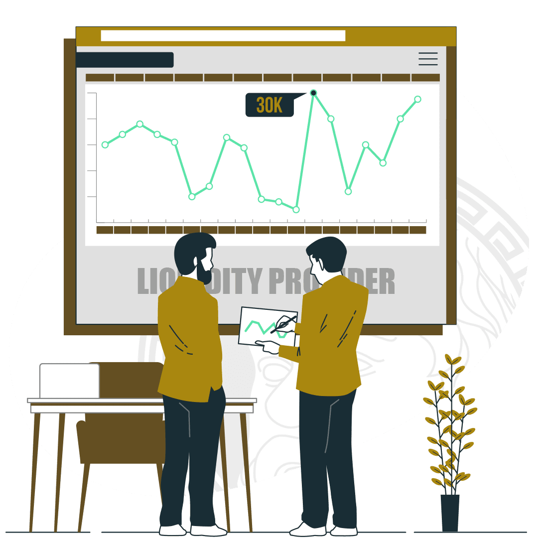 Liquidity Provider